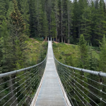 阿省隐藏版天空步道爆红！Blackshale Suspension Bridge 今夏正式开放